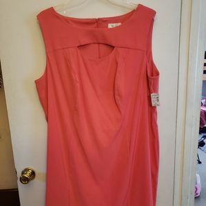 NWT Dress Barn Coral Scuba Knit Midi